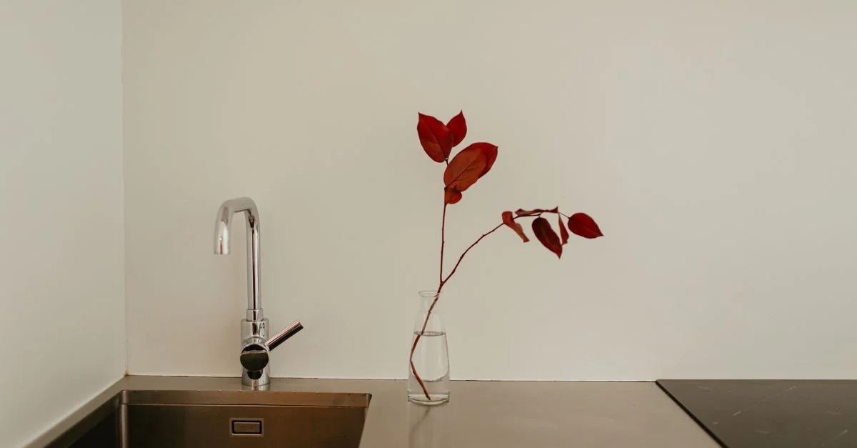 Cuisine moderne et élégante avec un robinet, un évier et un vase avec des feuilles rouges sur un plan de travail épuré.
