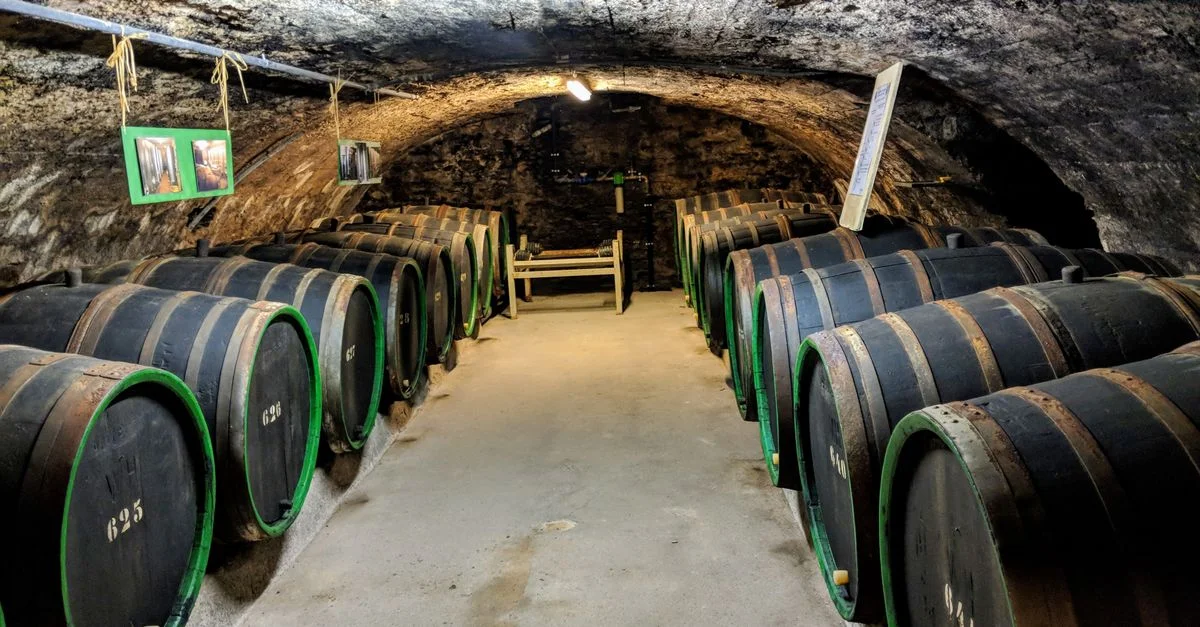 Explorez une cave à vin atmosphérique avec des fûts en chêne, située dans la ville historique de Cochem, en Allemagne.