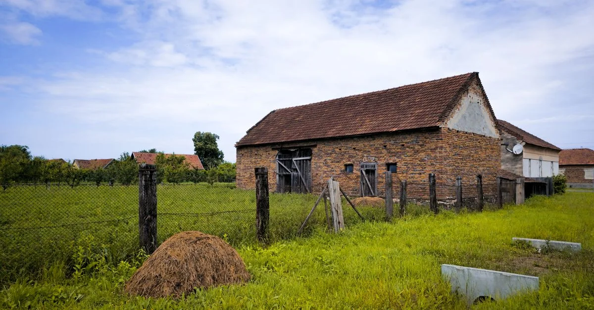 Charmante maison rustique dans un cadre serein de campagne roumaine, parfaite pour les amoureux de la nature.