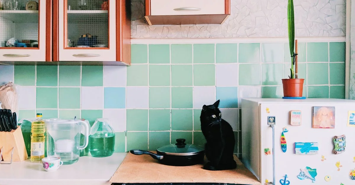 Un chat noir est assis sur la cuisinière dans un intérieur de cuisine coloré avec des carreaux verts.