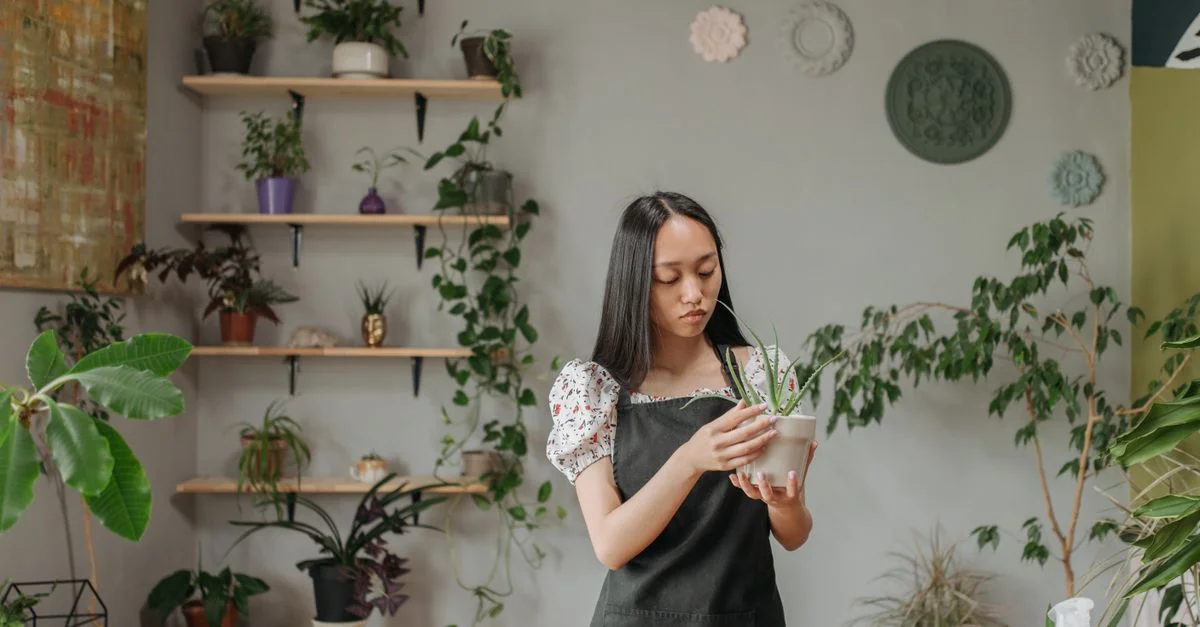 Une femme adulte en tablier s'occupant des plantes à l'intérieur, améliorant l'esthétique de la maison.