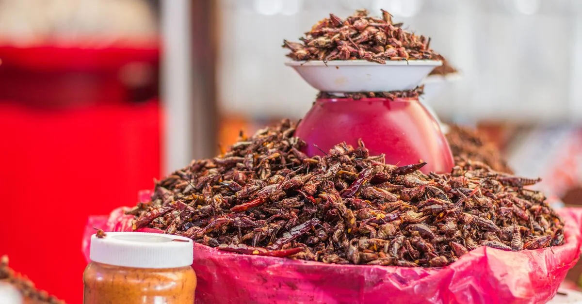 Une présentation vibrante d'insectes comestibles dans un cadre de marché, prêts à être achetés.
